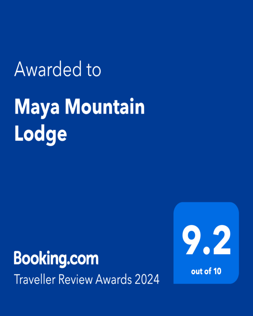 Booking.com Traveller Review Award 2024